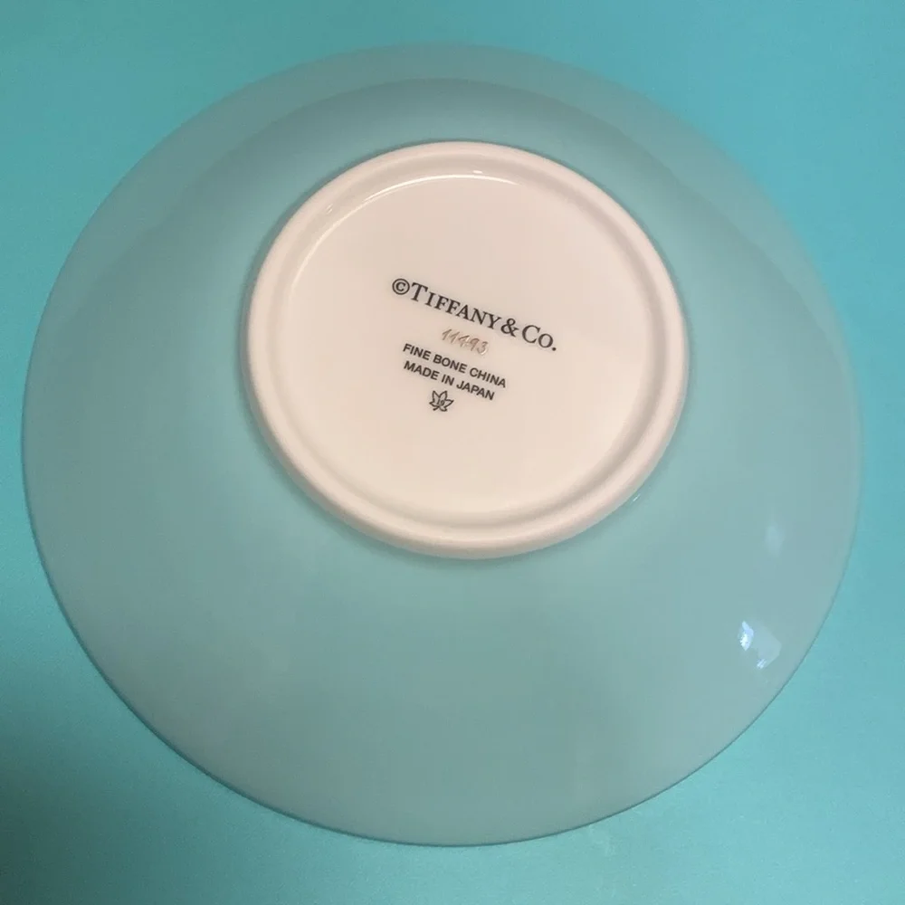 Tiffany and co color block silver rimmed baby block